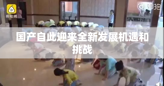 国产自此迎来全新发展机遇和挑战