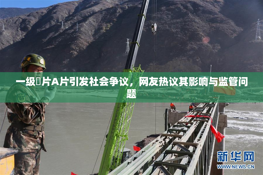 一级婬片A片引发社会争议，网友热议其影响与监管问题