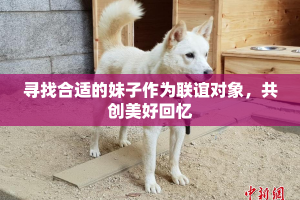 寻找合适的妹子作为联谊对象，共创美好回忆