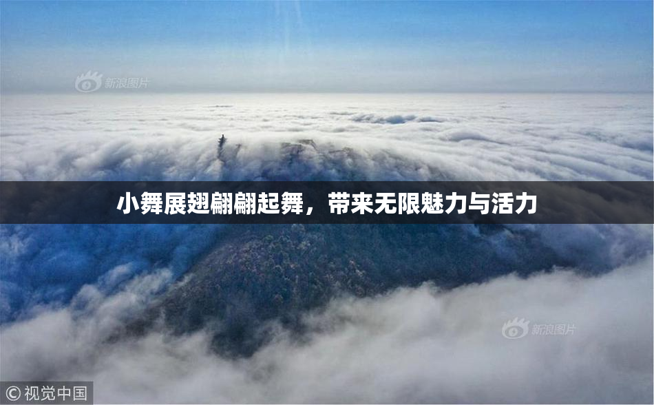 小舞展翅翩翩起舞，带来无限魅力与活力