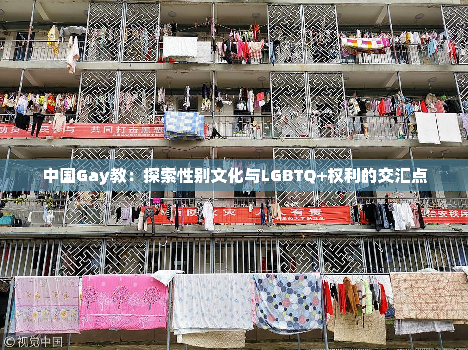 中国Gay教：探索性别文化与LGBTQ+权利的交汇点