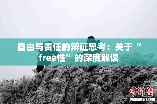 自由与责任的辩证思考：关于“free性”的深度解读