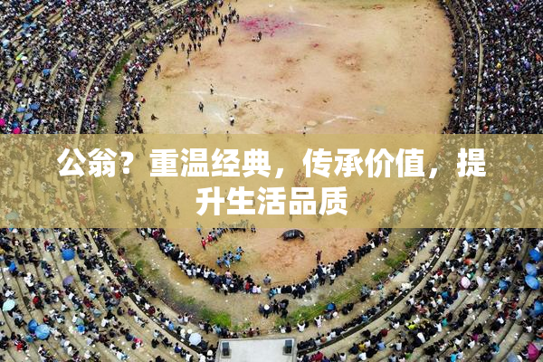 公翁？重温经典，传承价值，提升生活品质