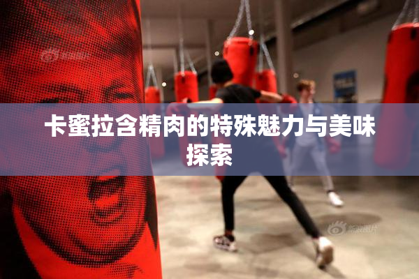 卡蜜拉含精肉的特殊魅力与美味探索