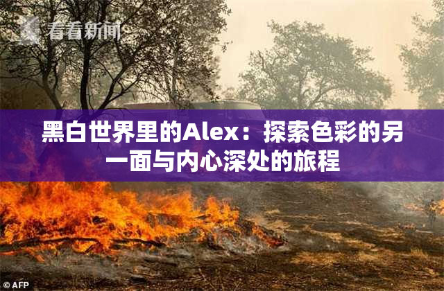 黑白世界里的Alex：探索色彩的另一面与内心深处的旅程