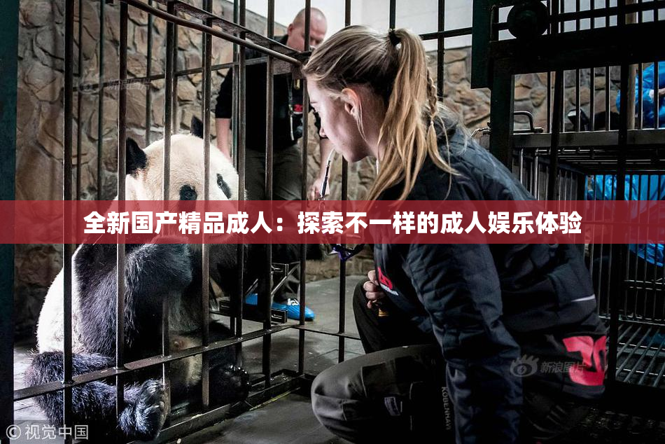 全新国产精品成人：探索不一样的成人娱乐体验