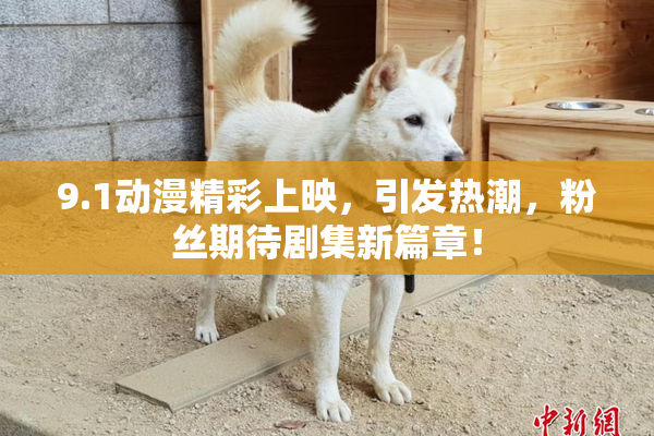 9.1动漫精彩上映，引发热潮，粉丝期待剧集新篇章！
