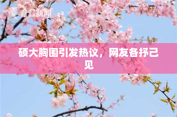 硕大胸围引发热议，网友各抒己见