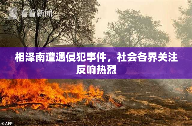 相泽南遭遇侵犯事件，社会各界关注反响热烈