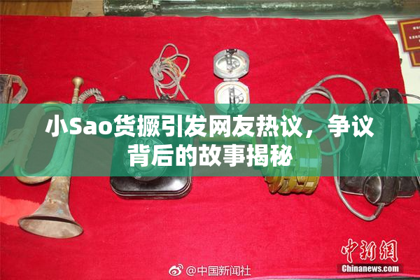 小Sao货撅引发网友热议，争议背后的故事揭秘