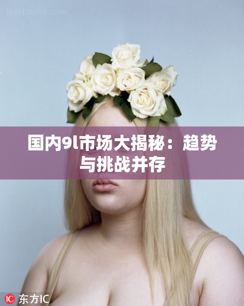 国内9l市场大揭秘：趋势与挑战并存