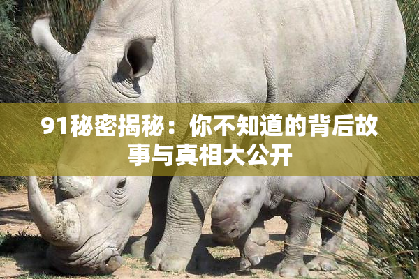 91秘密揭秘：你不知道的背后故事与真相大公开