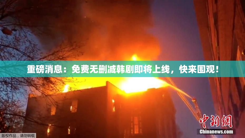 重磅消息：免费无删减韩剧即将上线，快来围观！