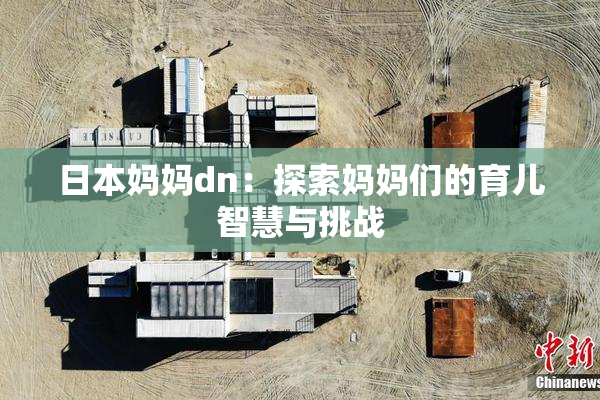 日本妈妈dn：探索妈妈们的育儿智慧与挑战