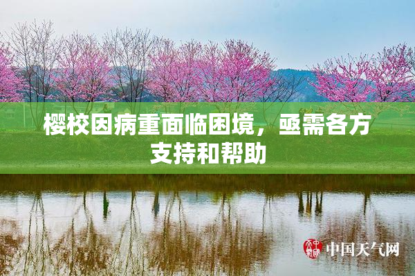 樱校因病重面临困境，亟需各方支持和帮助