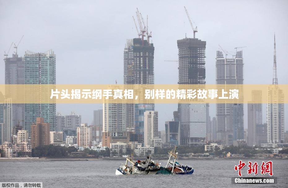 片头揭示纲手真相，别样的精彩故事上演