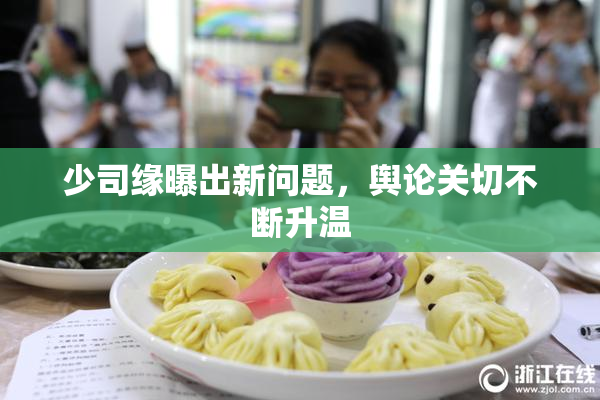 少司缘曝出新问题，舆论关切不断升温