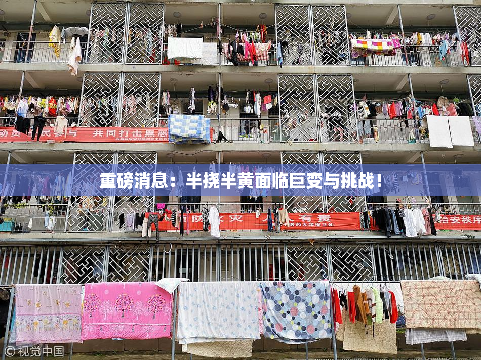 重磅消息：半挠半黄面临巨变与挑战！