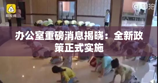 办公室重磅消息揭晓：全新政策正式实施