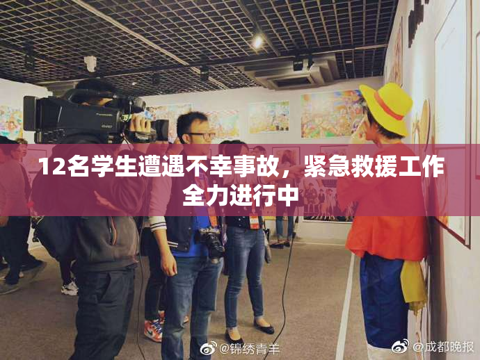 12名学生遭遇不幸事故，紧急救援工作全力进行中