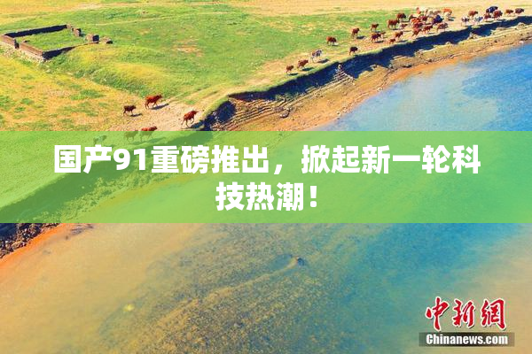 国产91重磅推出，掀起新一轮科技热潮！