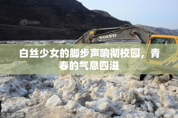 白丝少女的脚步声响彻校园，青春的气息四溢