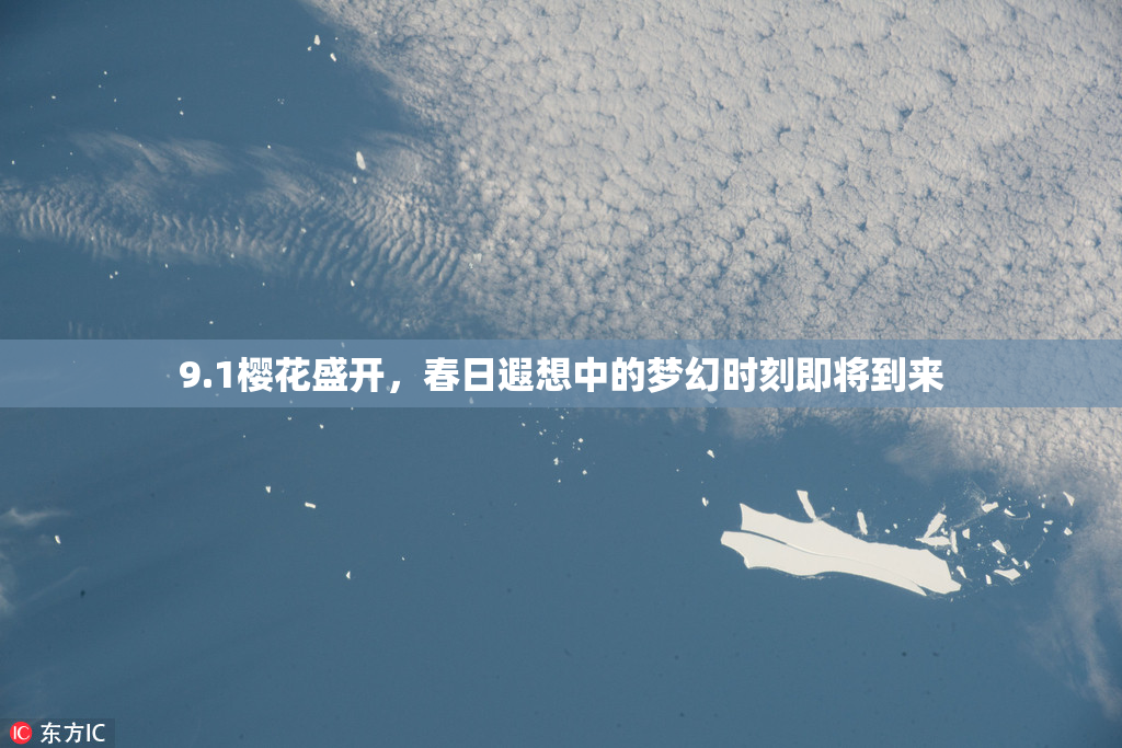 9.1樱花盛开，春日遐想中的梦幻时刻即将到来