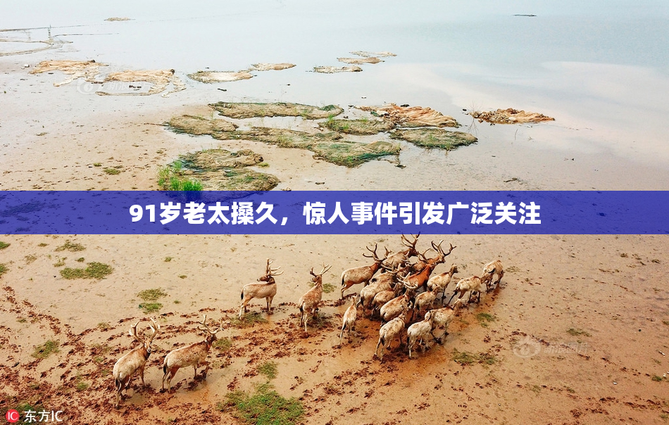 91岁老太搡久，惊人事件引发广泛关注