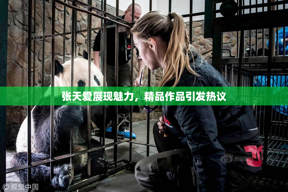 张天爱展现魅力，精品作品引发热议