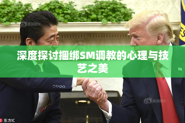 深度探讨捆绑SM调教的心理与技艺之美