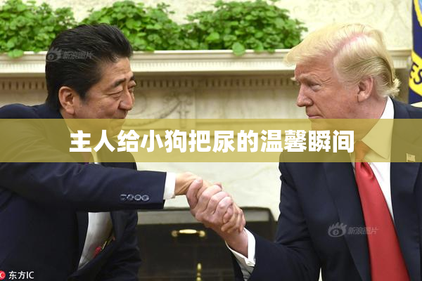 主人给小狗把尿的温馨瞬间
