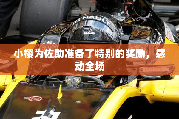 小樱为佐助准备了特别的奖励，感动全场