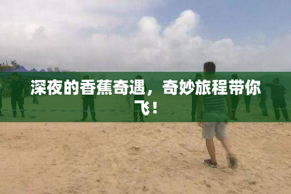 深夜的香蕉奇遇，奇妙旅程带你飞！