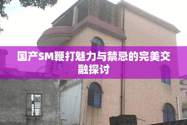 国产SM鞭打魅力与禁忌的完美交融探讨