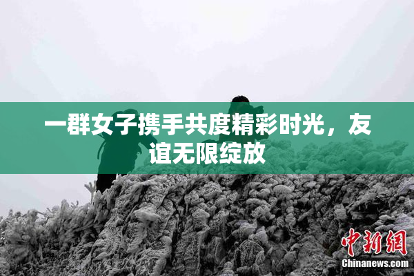 一群女子携手共度精彩时光，友谊无限绽放