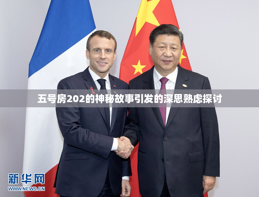 五号房202的神秘故事引发的深思熟虑探讨