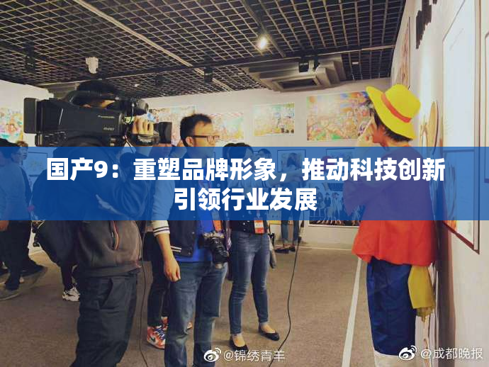 国产9：重塑品牌形象，推动科技创新引领行业发展