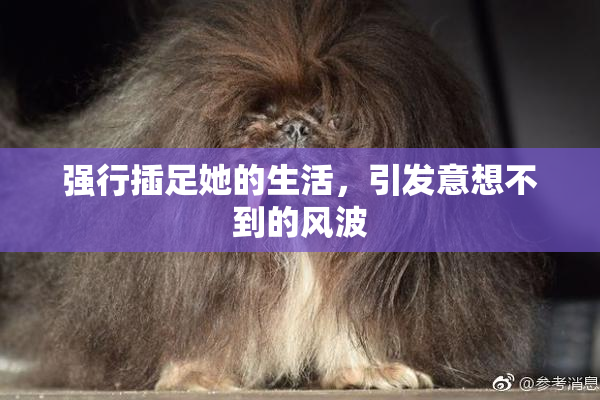 强行插足她的生活，引发意想不到的风波