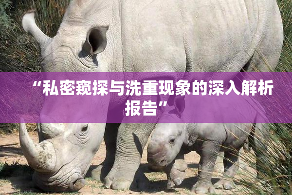 “私密窥探与洗重现象的深入解析报告”