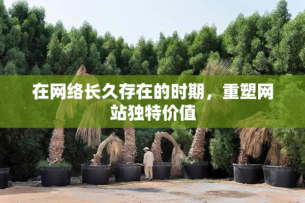 在网络长久存在的时期，重塑网站独特价值