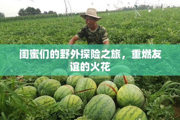 闺蜜们的野外探险之旅，重燃友谊的火花