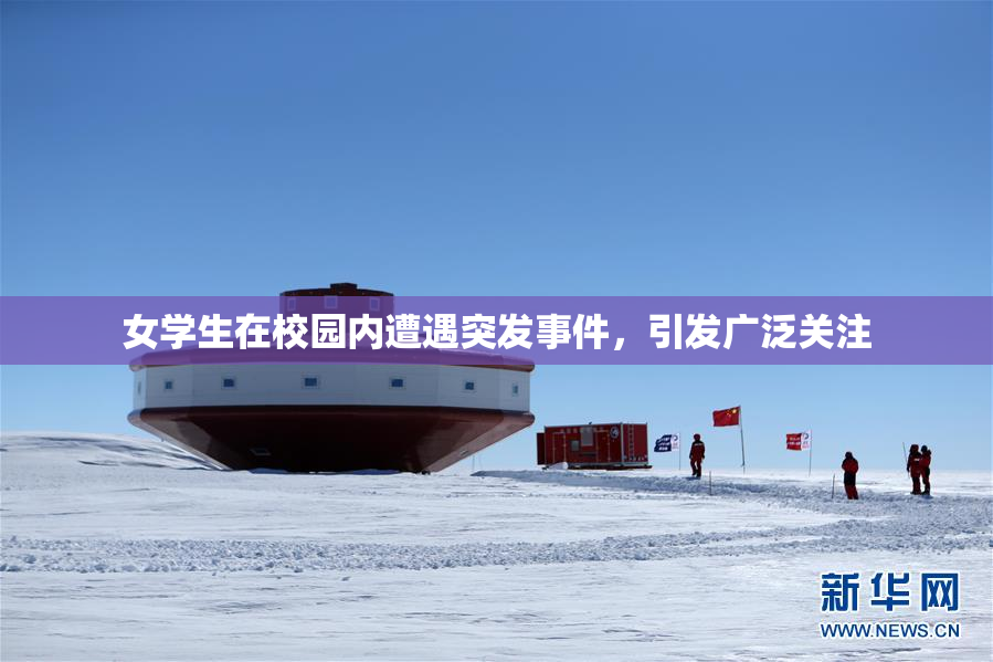 女学生在校园内遭遇突发事件，引发广泛关注