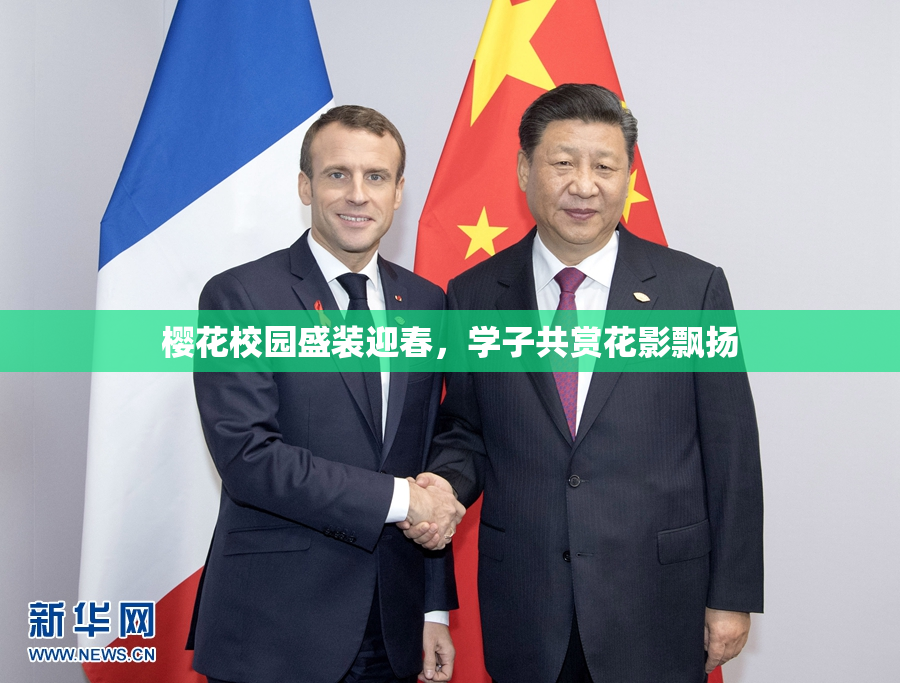 樱花校园盛装迎春，学子共赏花影飘扬