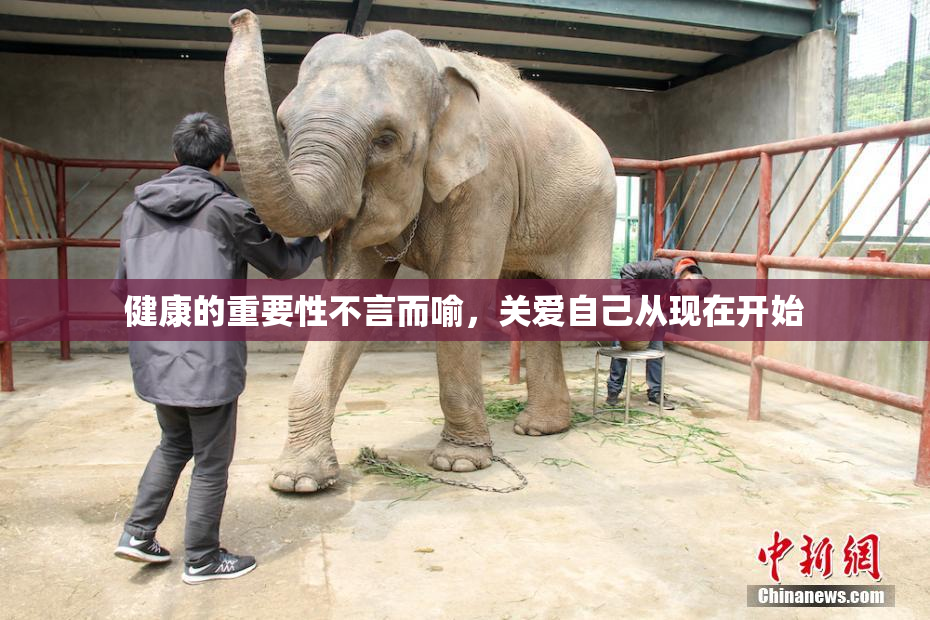 健康的重要性不言而喻，关爱自己从现在开始