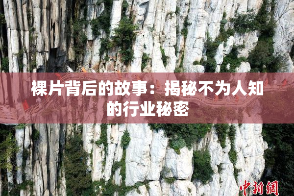 裸片背后的故事：揭秘不为人知的行业秘密