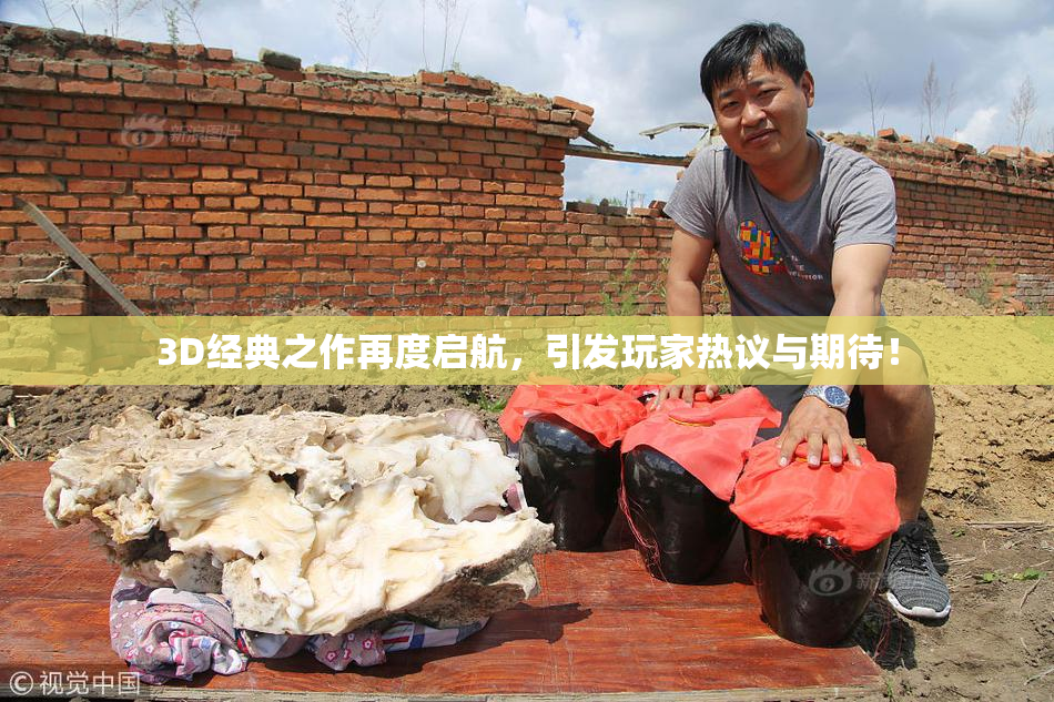 3D经典之作再度启航，引发玩家热议与期待！
