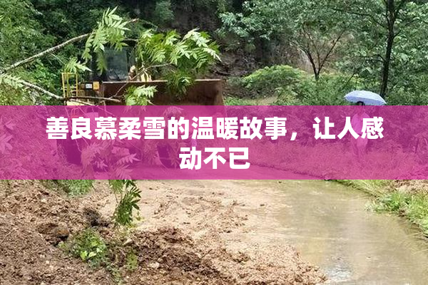 善良慕柔雪的温暖故事，让人感动不已