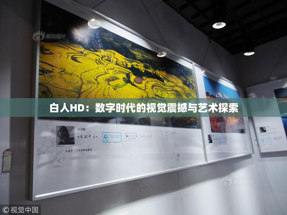 白人HD：数字时代的视觉震撼与艺术探索