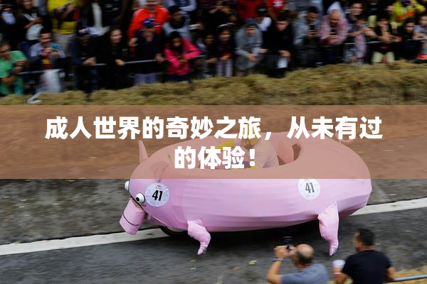 成人世界的奇妙之旅，从未有过的体验！