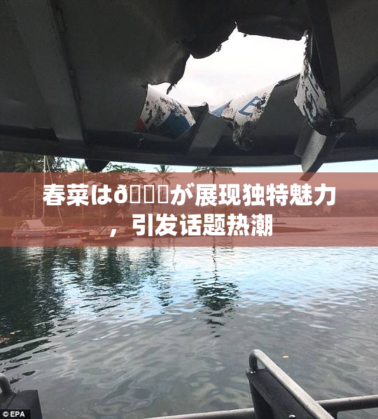 春菜は🍑が展现独特魅力，引发话题热潮